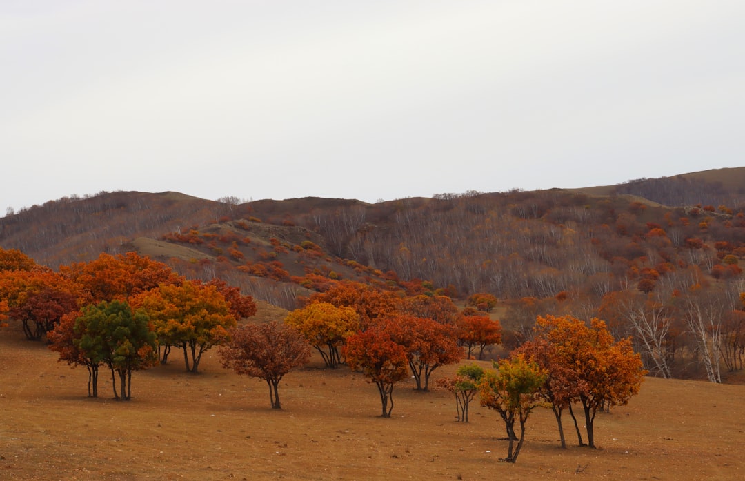 Unconventional Ways to Experience the Great Outdoors